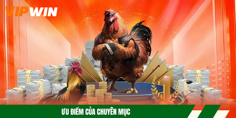 Ưu điểm của chuyên mục