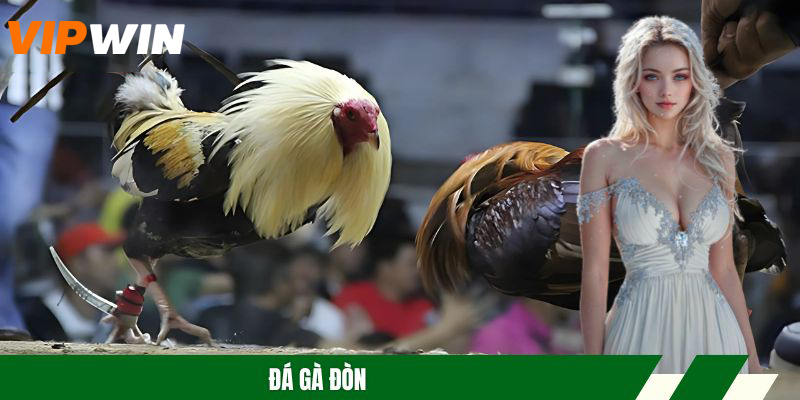 Đá Gà Đòn – Hình Thức Cược Uy Tín, Đa Dạng Trận Đấu Hot