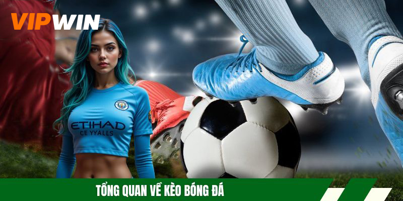 Kèo Bóng Đá - Các Hình Thức Chơi Phổ Biến Và Mẹo Soi Kèo 4 Tổng quan về kèo bóng đá