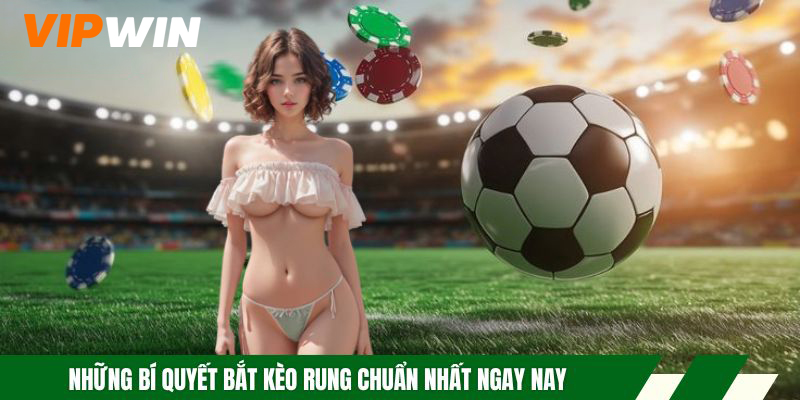 Những bí quyết bắt kèo rung chuẩn nhất ngay nay
