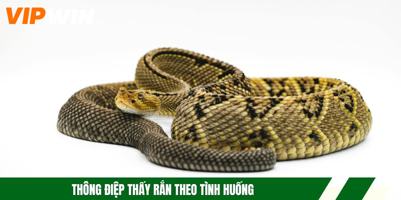 Thông điệp thấy rắn theo tình huống
