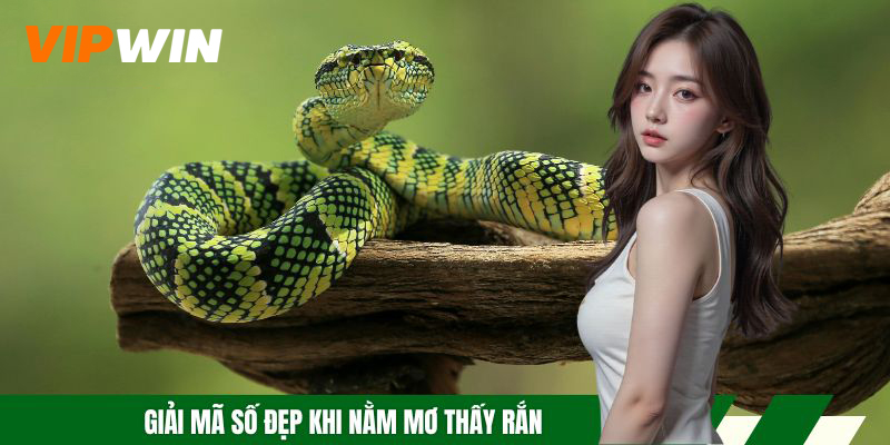 Giải mã số đẹp khi nằm mơ thấy rắn