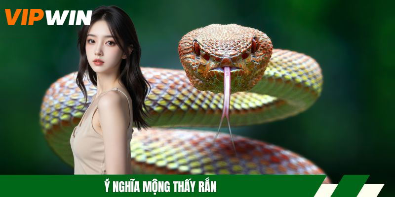 Ý nghĩa mộng thấy rắn
