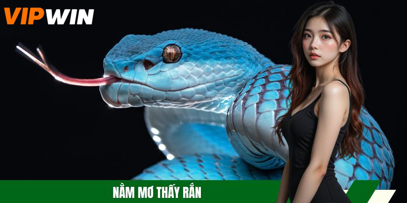 Nằm Mơ Thấy Rắn – VIPWIN Giải Mã Giấc Mộng Và Số Đề Chuẩn