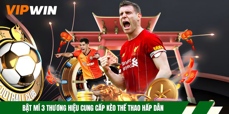 Bật mí 3 thương hiệu cung cấp kèo thể thao hấp dẫn