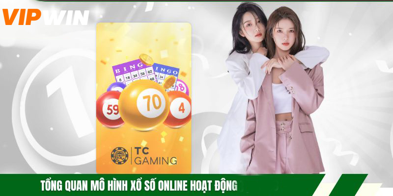 Tổng quan mô hình xổ số online hoạt động tại VIPWIN
